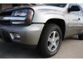 2003 Light Pewter Metallic Chevrolet TrailBlazer LT 4x4  photo #22