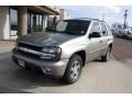 2003 Light Pewter Metallic Chevrolet TrailBlazer LT 4x4  photo #24