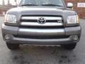 2003 Phantom Gray Pearl Toyota Tundra SR5 Access Cab 4x4  photo #8