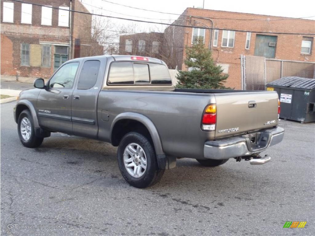 Phantom Gray Pearl 2003 Toyota Tundra SR5 Access Cab 4x4 Exterior Photo #41395064