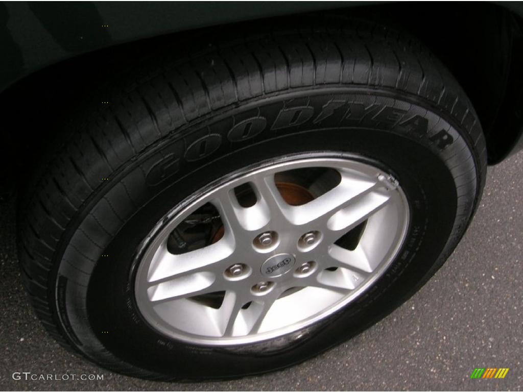 2000 Grand Cherokee Limited 4x4 - Shale Green Metallic / Camel photo #11