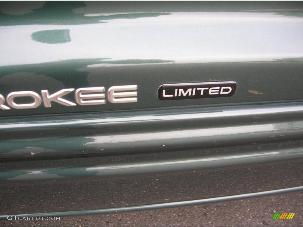 2000 Grand Cherokee Limited 4x4 - Shale Green Metallic / Camel photo #17