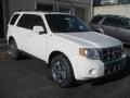 White Suede - Escape Limited V6 4WD Photo No. 1