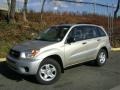 2004 Savannah Beige Metallic Toyota RAV4   photo #1