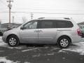 2010 Clear Silver Kia Sedona LX  photo #14