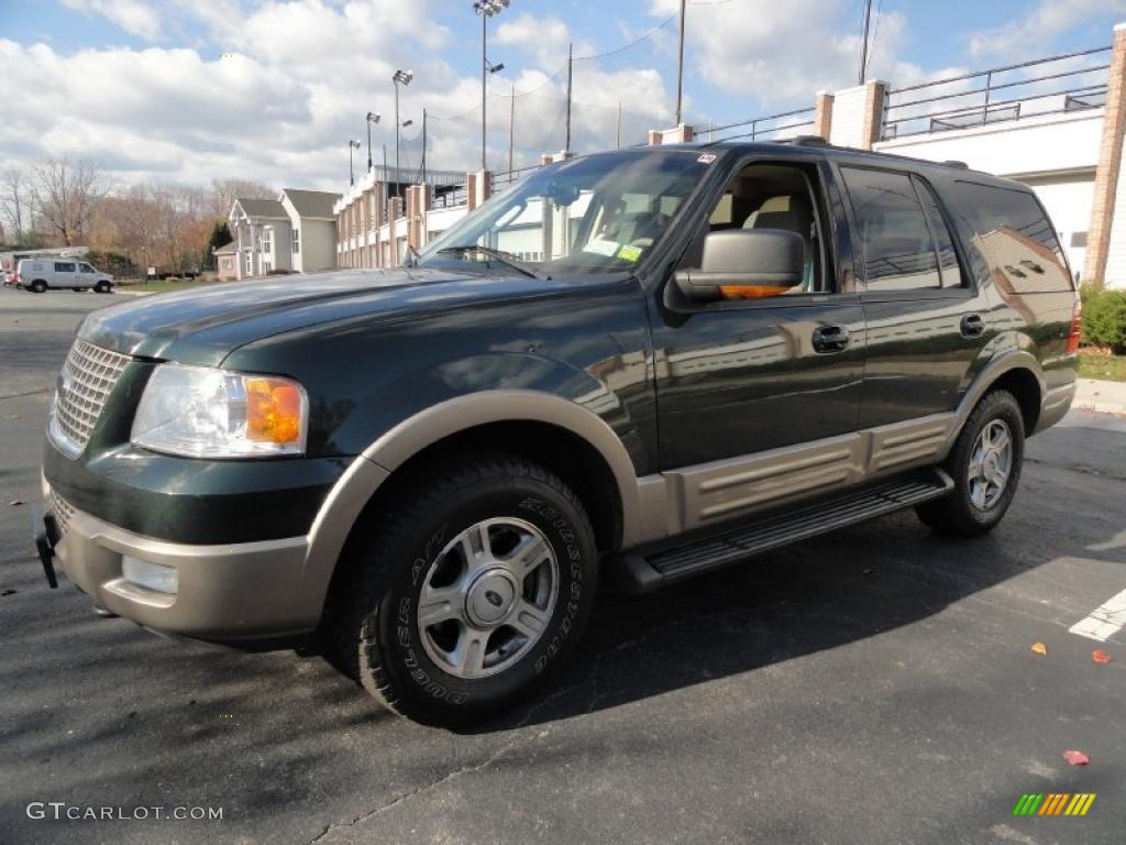 2003 Expedition Eddie Bauer 4x4 - Aspen Green Metallic / Medium Parchment photo #1