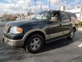 2003 Aspen Green Metallic Ford Expedition Eddie Bauer 4x4  photo #1