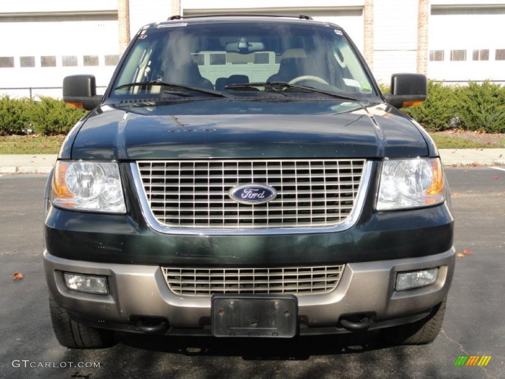 2003 Expedition Eddie Bauer 4x4 - Aspen Green Metallic / Medium Parchment photo #2