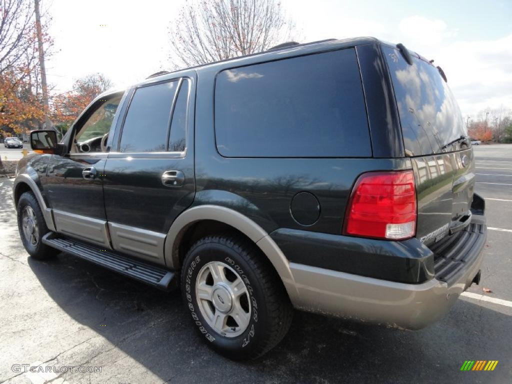 2003 Expedition Eddie Bauer 4x4 - Aspen Green Metallic / Medium Parchment photo #4