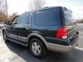 2003 Aspen Green Metallic Ford Expedition Eddie Bauer 4x4  photo #4