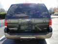 2003 Aspen Green Metallic Ford Expedition Eddie Bauer 4x4  photo #5