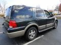 2003 Aspen Green Metallic Ford Expedition Eddie Bauer 4x4  photo #6
