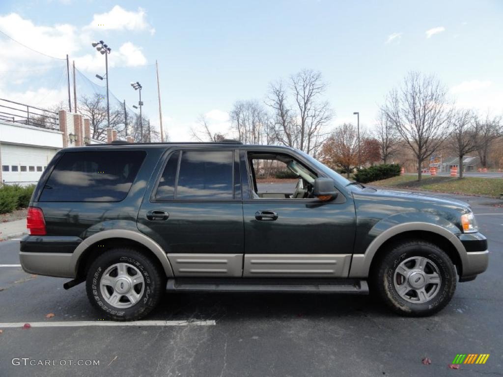 2003 Expedition Eddie Bauer 4x4 - Aspen Green Metallic / Medium Parchment photo #7