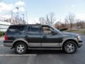 2003 Aspen Green Metallic Ford Expedition Eddie Bauer 4x4  photo #7