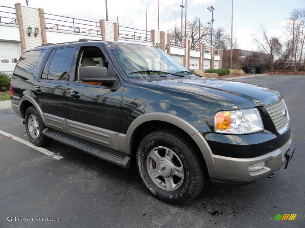 2003 Expedition Eddie Bauer 4x4 - Aspen Green Metallic / Medium Parchment photo #8