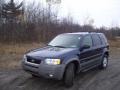 True Blue Metallic - Escape XLT V6 4WD Photo No. 1