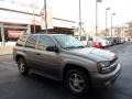 Graystone Metallic - TrailBlazer LS 4x4 Photo No. 5