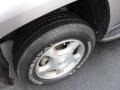 Graystone Metallic - TrailBlazer LS 4x4 Photo No. 13