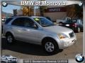 Bright Silver - Sorento LX Photo No. 1