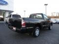 Black Sand Pearl 2010 Toyota Tacoma Regular Cab Exterior
