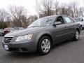 Willow Gray - Sonata GLS Photo No. 1