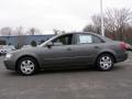 Willow Gray - Sonata GLS Photo No. 4