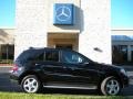 Black - ML 350 4Matic Photo No. 5