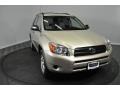 Savannah Metallic - RAV4 4WD Photo No. 7