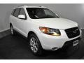 Powder White Pearl 2008 Hyundai Santa Fe SE 4WD Exterior