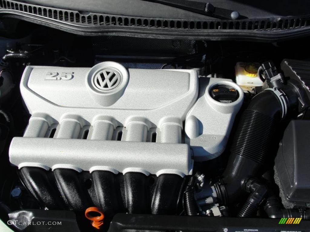 2010 Volkswagen New Beetle 2.5 Coupe 2.5 Liter DOHC 20-Valve 5 Cylinder Engine Photo #41450723