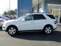 Arctic White - ML 350 Photo No. 3