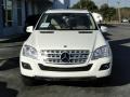 Arctic White - ML 350 Photo No. 12