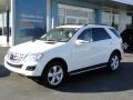Arctic White - ML 350 Photo No. 13