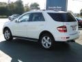 Arctic White - ML 350 Photo No. 14