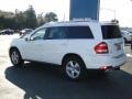 Arctic White - GL 450 4Matic Photo No. 4