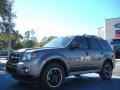 Sterling Grey Metallic - Escape XLT Sport V6 Photo No. 1