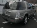 Vapor Silver Metallic - Mountaineer Premier AWD Photo No. 6