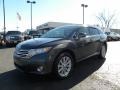 Magnetic Gray Metallic - Venza I4 Photo No. 6