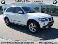 Alpine White - X5 3.0si Photo No. 1