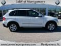 Alpine White - X5 3.0si Photo No. 2