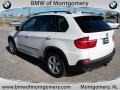 Alpine White - X5 3.0si Photo No. 6