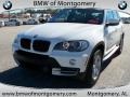 Alpine White - X5 3.0si Photo No. 9