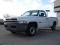 1999 Bright White Dodge Ram 1500 ST Regular Cab  photo #7