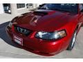2004 Redfire Metallic Ford Mustang GT Coupe  photo #15
