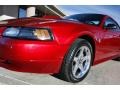 2004 Redfire Metallic Ford Mustang GT Coupe  photo #20