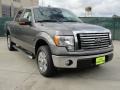 Sterling Grey Metallic 2010 Ford F150 XLT SuperCrew Exterior