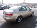 Golden Beige - Sonata LX V6 Photo No. 4