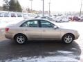Golden Beige - Sonata LX V6 Photo No. 5