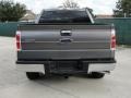 2010 Sterling Grey Metallic Ford F150 XLT SuperCrew  photo #4