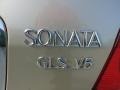 Desert Sand Metallic - Sonata GLS V6 Photo No. 15